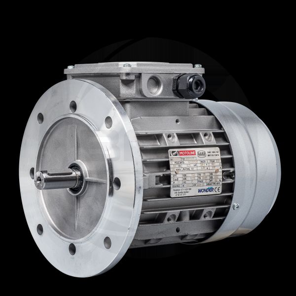 Picture of Electric Motors TEFC Induction Aluminium